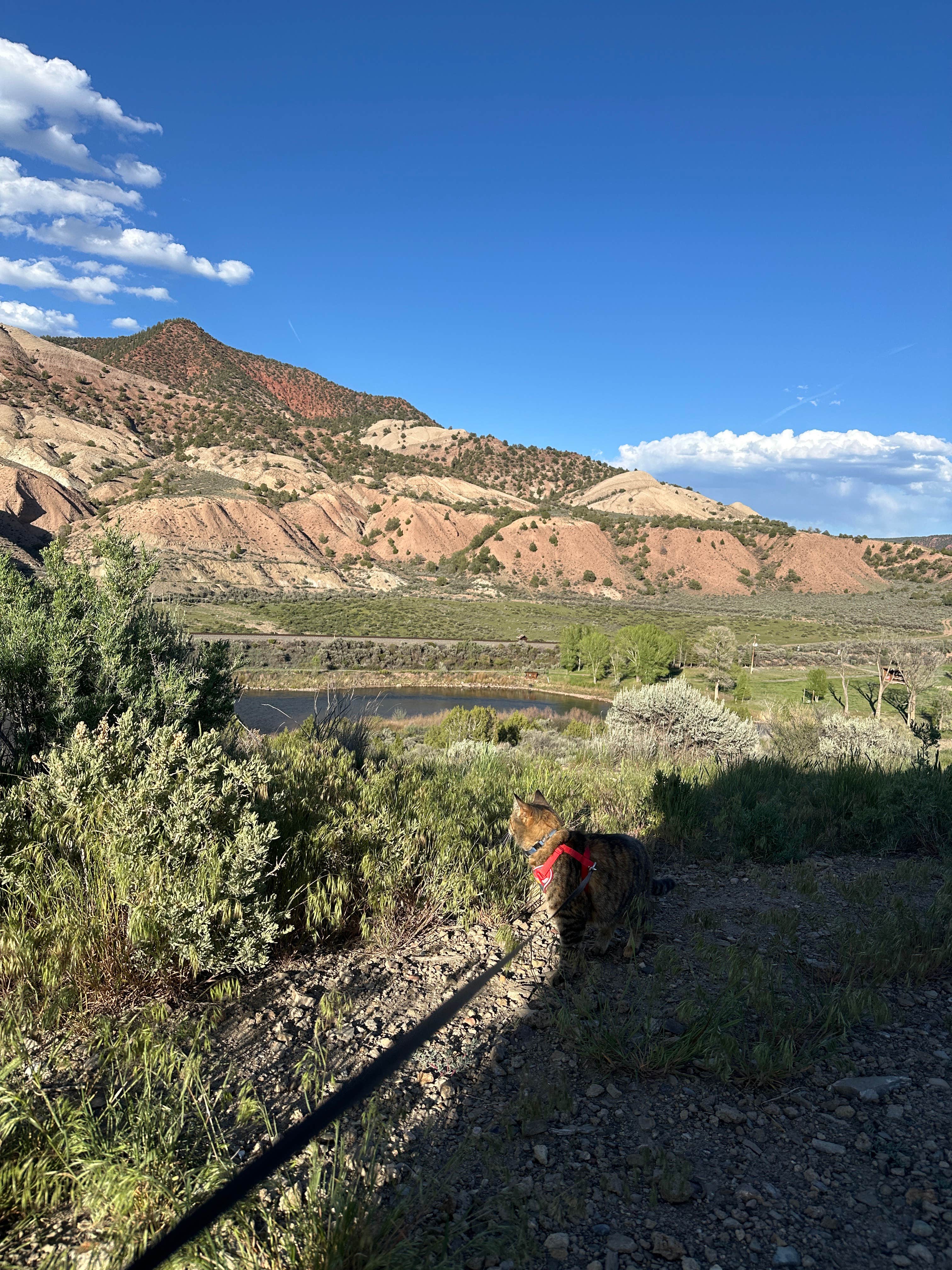 Camper-submitted photo at Upper Colorado River BLM Dispersed near Eagle, CO