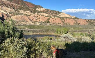 Kathy B.'s photo of camping with pets at Upper Colorado River BLM Dispersed near Eagle, CO
