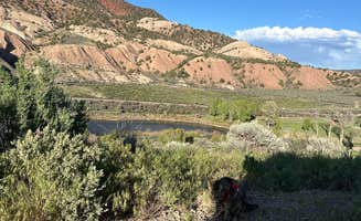 Kathy B.'s photo of camping with pets at Upper Colorado River BLM Dispersed near Eagle, CO