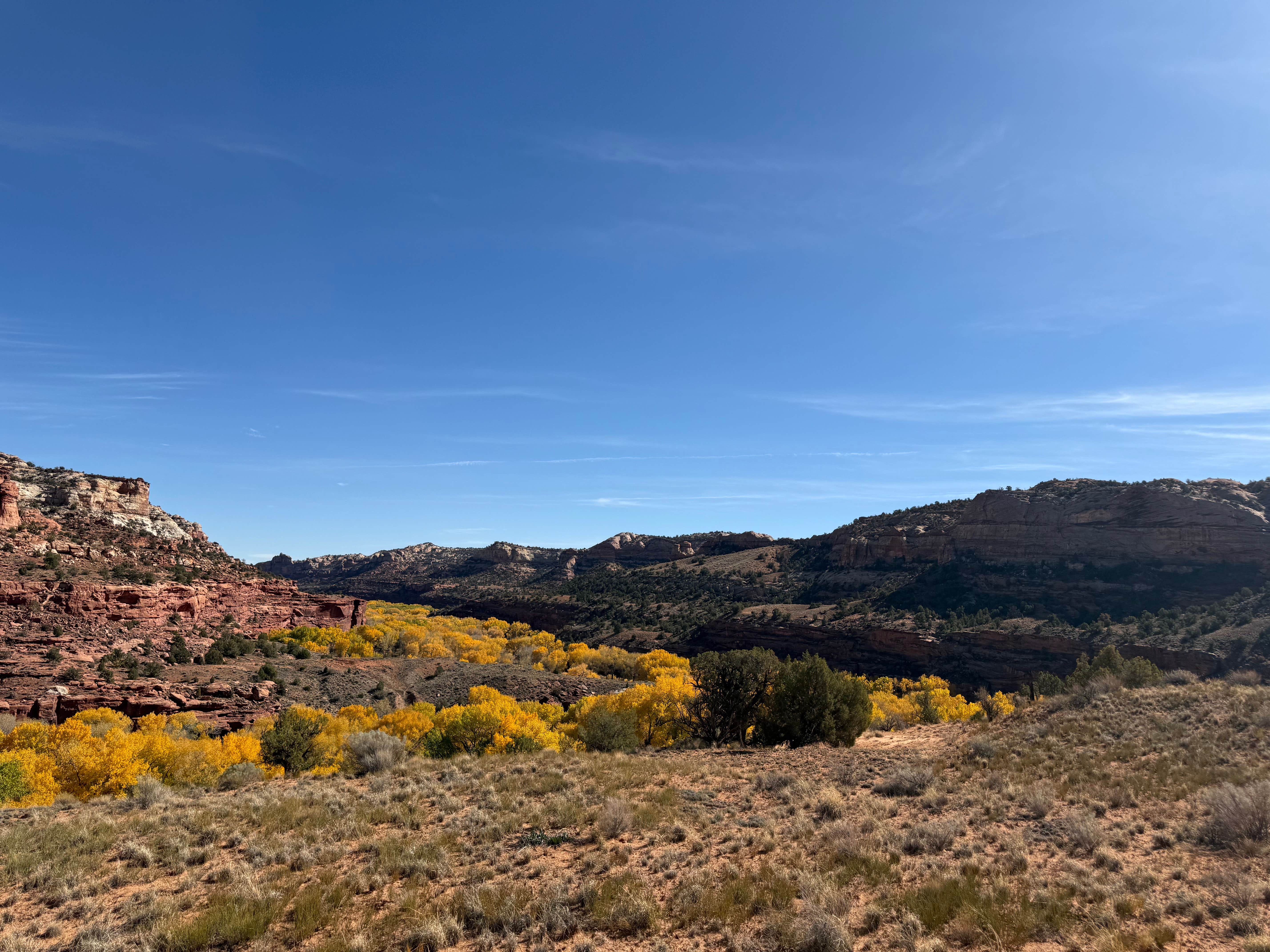 Camping near South Hell's Backbone Road: Upper Creek Falls Trail, Boulder, Utah