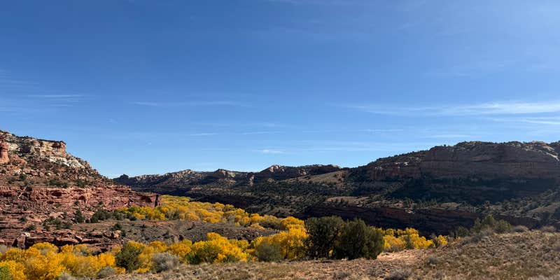 Camper submitted image from Upper Creek Falls Trail