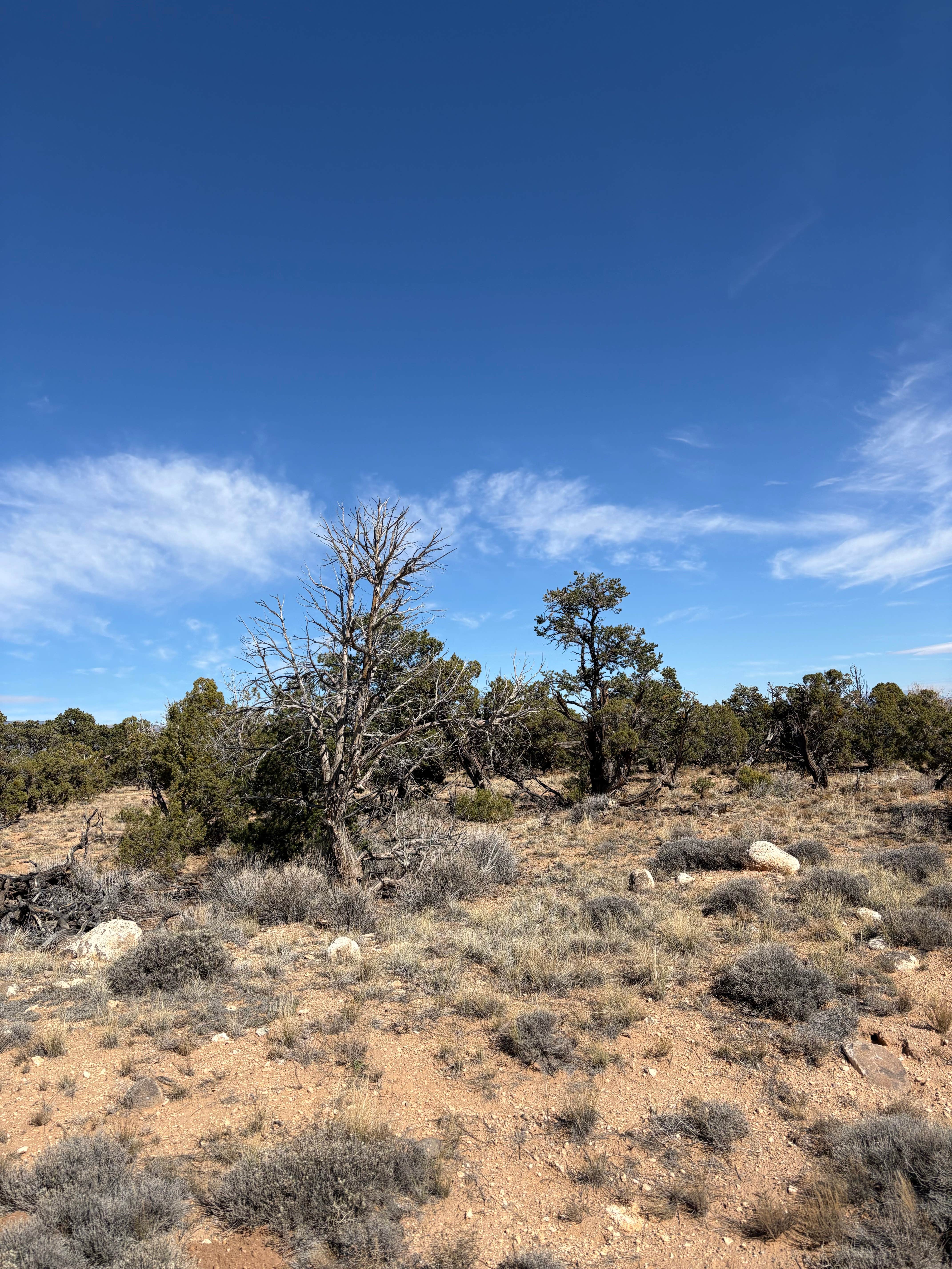 Camper-submitted photo at Upper Creek Falls Trail near Escalante, UT