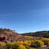 Review photo of Upper Creek Falls Trail by Stacia M., October 26, 2025