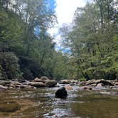 Review photo of Upper Creek, Pisgah National Forest NC by Kyle C., September 1, 2025