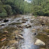 Review photo of Upper Creek, Pisgah National Forest NC by Kyle C., September 1, 2025