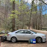 Review photo of Upper Creek, Pisgah National Forest NC by kylie B., April 18, 2024