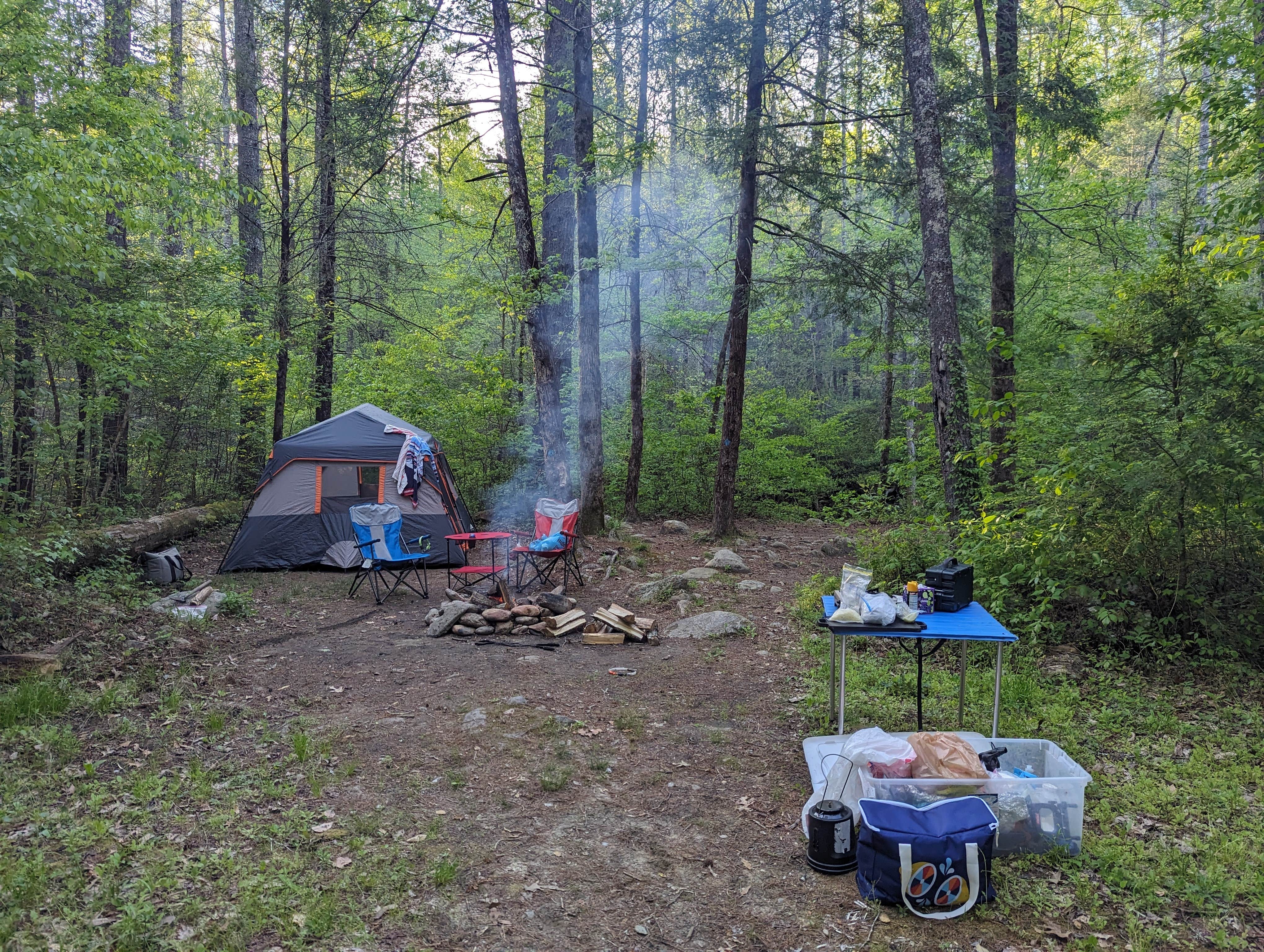 Camper-submitted photo at Upper Creek, Pisgah National Forest NC near Hays, NC