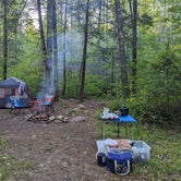 Review photo of Upper Creek, Pisgah National Forest NC by Joe P., April 25, 2024