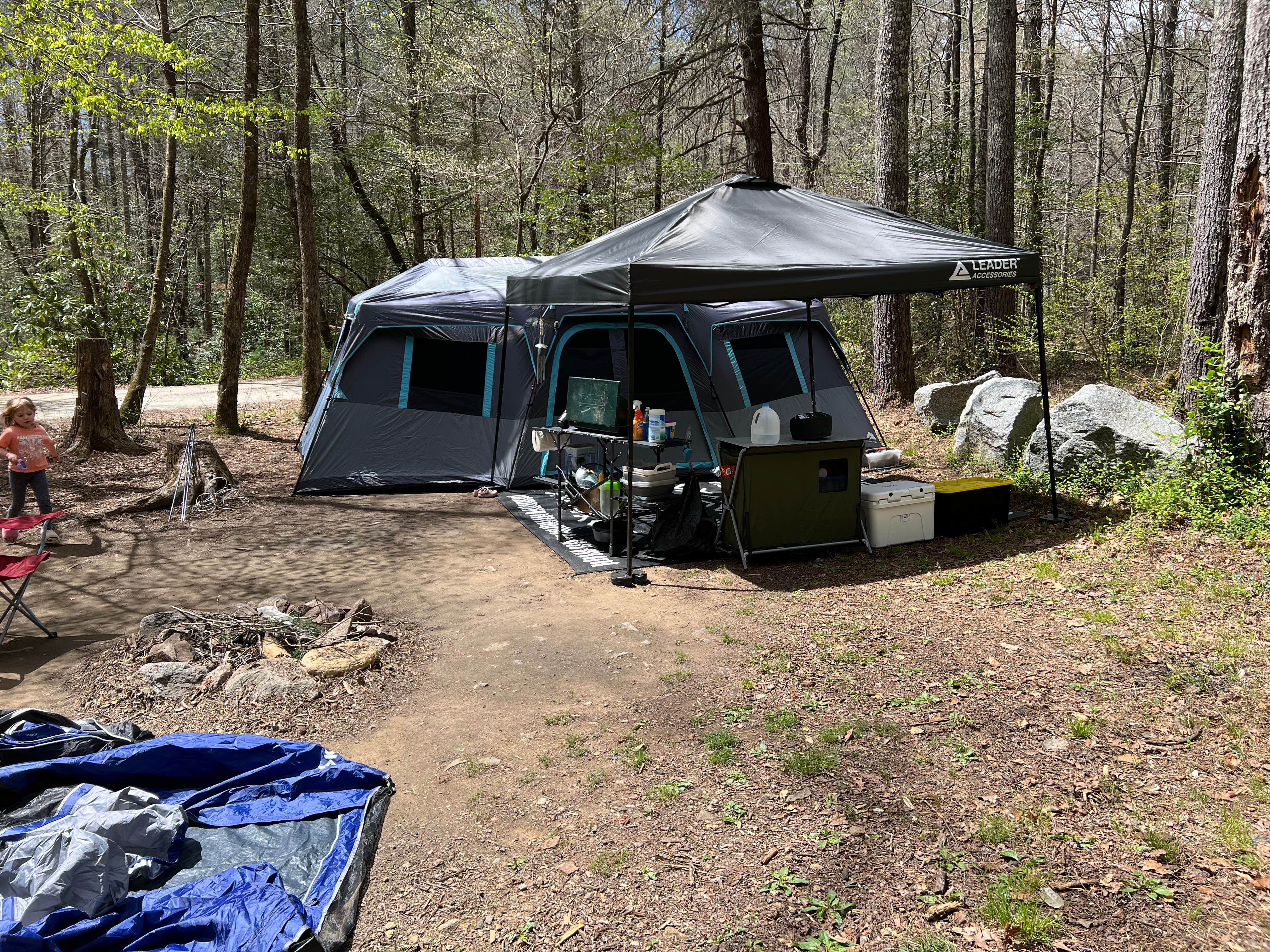Camper submitted image from Upper Creek, Pisgah National Forest NC - 4