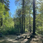 Review photo of Upper Creek, Pisgah National Forest NC by nick M., April 29, 2025