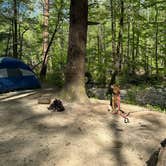Review photo of Upper Creek, Pisgah National Forest NC by nick M., April 29, 2025