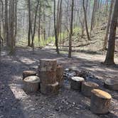 Review photo of Upper Creek, Pisgah National Forest NC by Nichole P., March 20, 2026