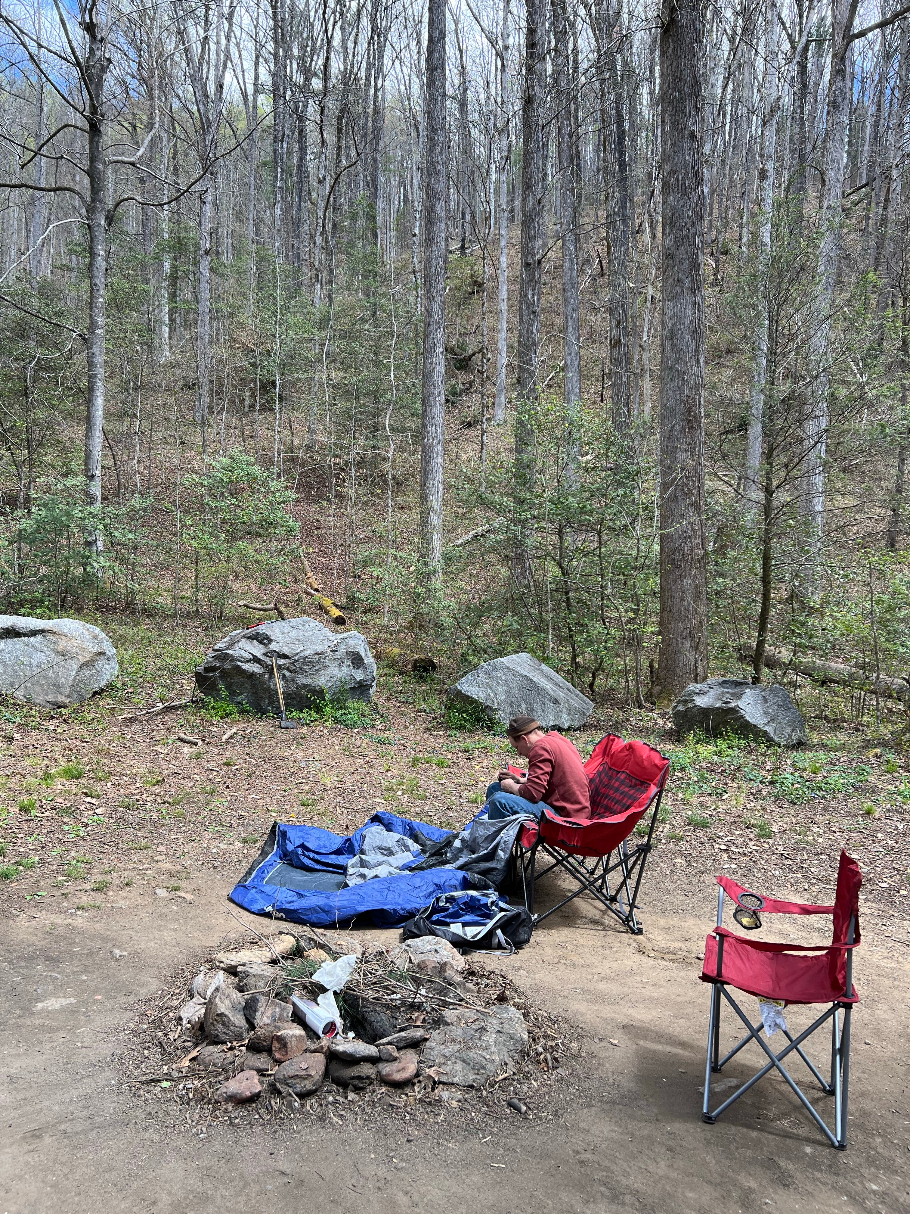 Camper submitted image from Upper Creek, Pisgah National Forest NC - 5