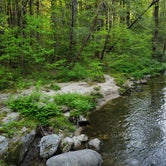 Review photo of Upper Creek, Pisgah National Forest NC by Joe P., April 25, 2024
