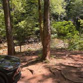 Review photo of Upper Creek, Pisgah National Forest NC by Sherry S., July 7, 2026