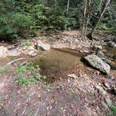 Review photo of Upper Creek, Pisgah National Forest NC by evan C., October 24, 2025