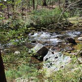 Review photo of Upper Creek, Pisgah National Forest NC by kylie B., April 18, 2024