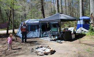 kylie B.'s photo of a dispersed camping area at Upper Creek, Pisgah National Forest NC near Catawba, NC