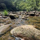 Review photo of Upper Creek, Pisgah National Forest NC by Kyle C., September 1, 2025