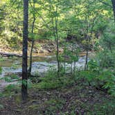 Review photo of Upper Creek, Pisgah National Forest NC by Joe P., April 25, 2024