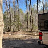 Review photo of Upper Creek, Pisgah National Forest NC by Nichole P., March 20, 2026