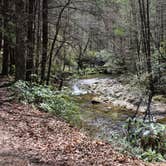 Review photo of Upper Creek, Pisgah National Forest NC by kylie B., April 18, 2024