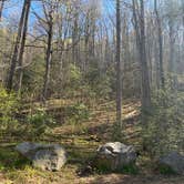 Review photo of Upper Creek, Pisgah National Forest NC by kylie B., April 18, 2024