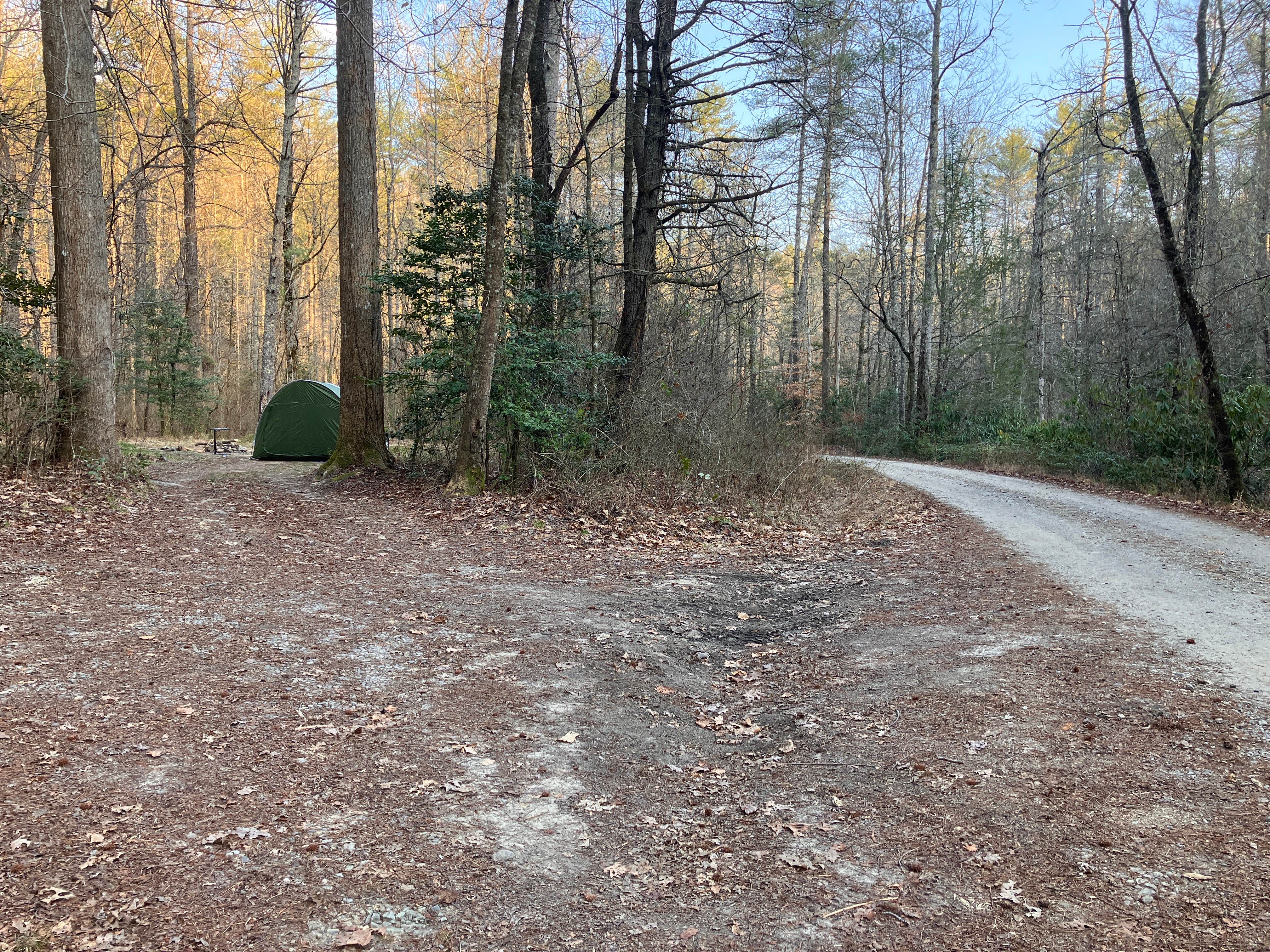 Robin B.'s photo of a dispersed camping area at Upper Creek, Pisgah National Forest NC near Hays, NC