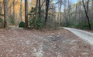 Robin B.'s photo of a dispersed camping area at Upper Creek, Pisgah National Forest NC near West Jefferson, NC