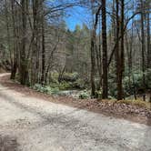 Review photo of Upper Creek, Pisgah National Forest NC by kylie B., April 18, 2024