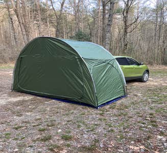 Camper-submitted photo from Upper Creek, Pisgah National Forest NC