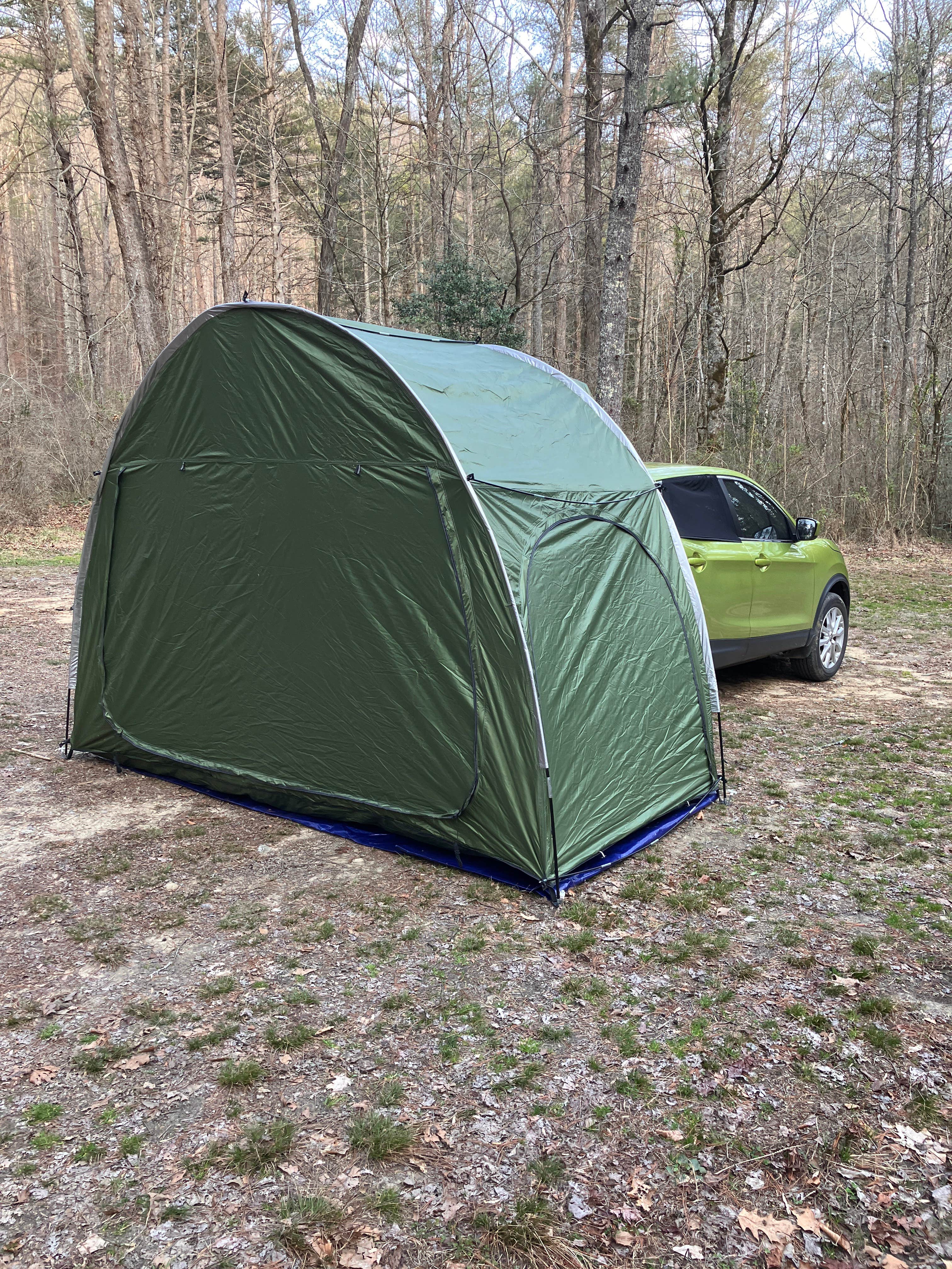 Camper submitted image from Upper Creek, Pisgah National Forest NC - 3