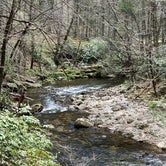 Review photo of Upper Creek, Pisgah National Forest NC by kylie B., April 18, 2024