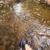 Review photo of Upper Creek, Pisgah National Forest NC by Sherry S., July 7, 2026