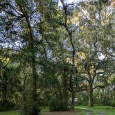 Review photo of Upper Hillsborough Preserve — Alston Tract by The Longs .., September 23, 2024