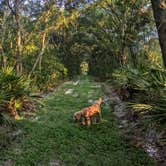 Review photo of Upper Hillsborough Preserve — Alston Tract by The Longs .., September 23, 2024