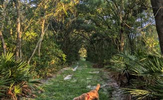 The Longs ..'s photo of camping with pets at Upper Hillsborough Preserve — Alston Tract near Dover, FL