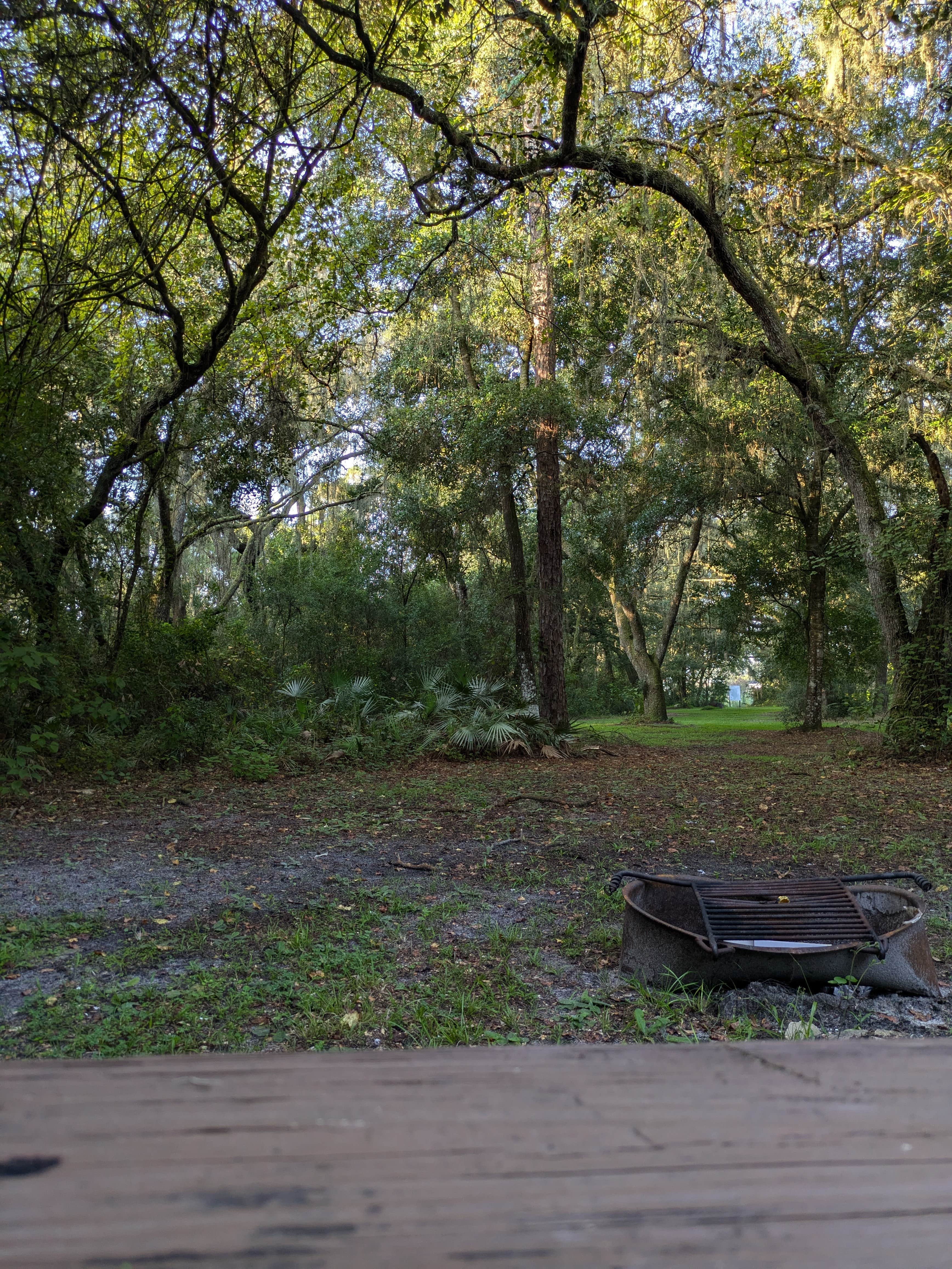 Camper-submitted photo at Upper Hillsborough Preserve — Alston Tract near Riverview, FL