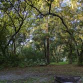 Review photo of Upper Hillsborough Preserve — Alston Tract by The Longs .., September 23, 2024