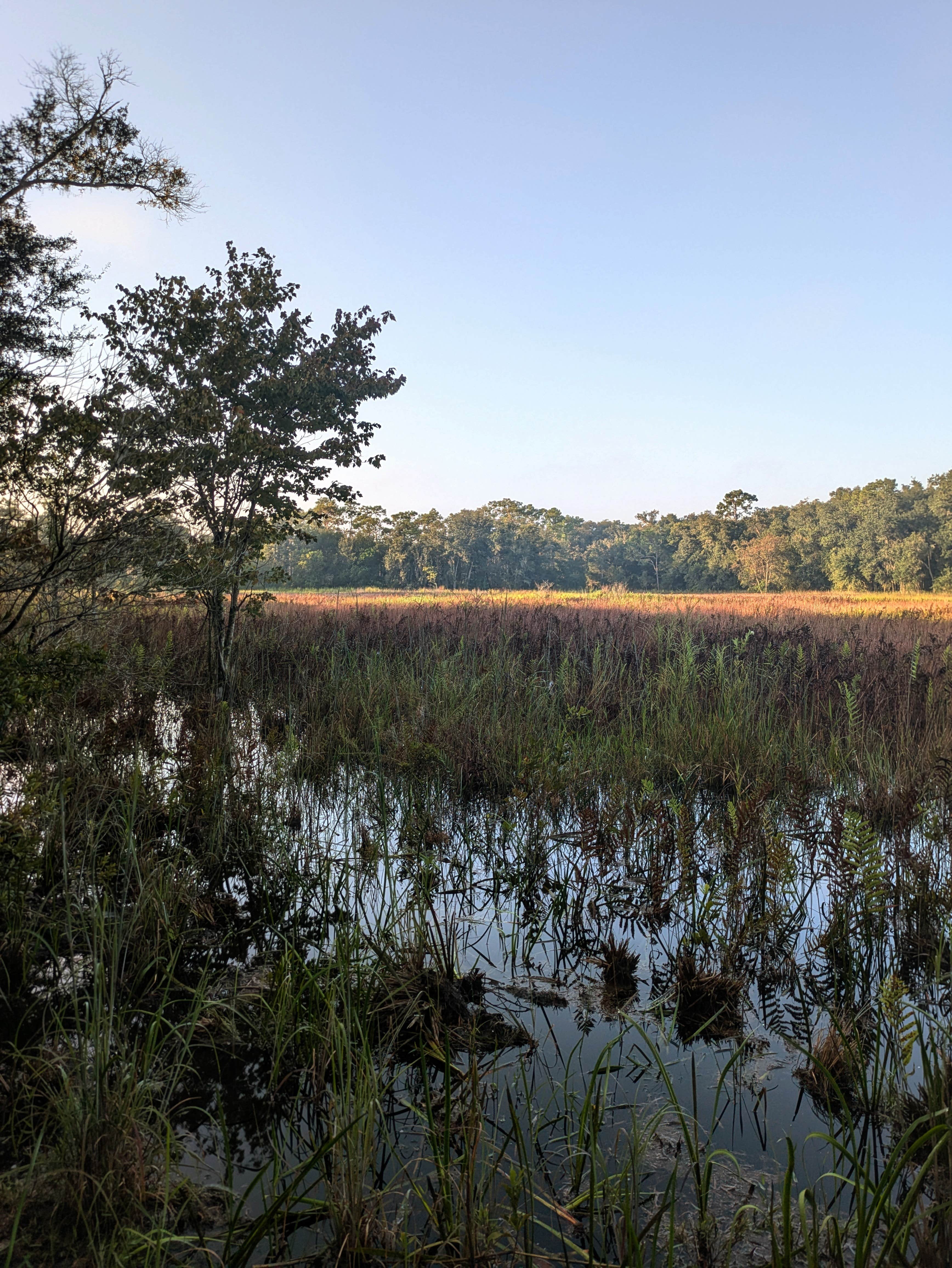 Camper-submitted photo at Upper Hillsborough Preserve — Alston Tract near Riverview, FL