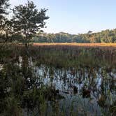 Review photo of Upper Hillsborough Preserve — Alston Tract by The Longs .., September 23, 2024