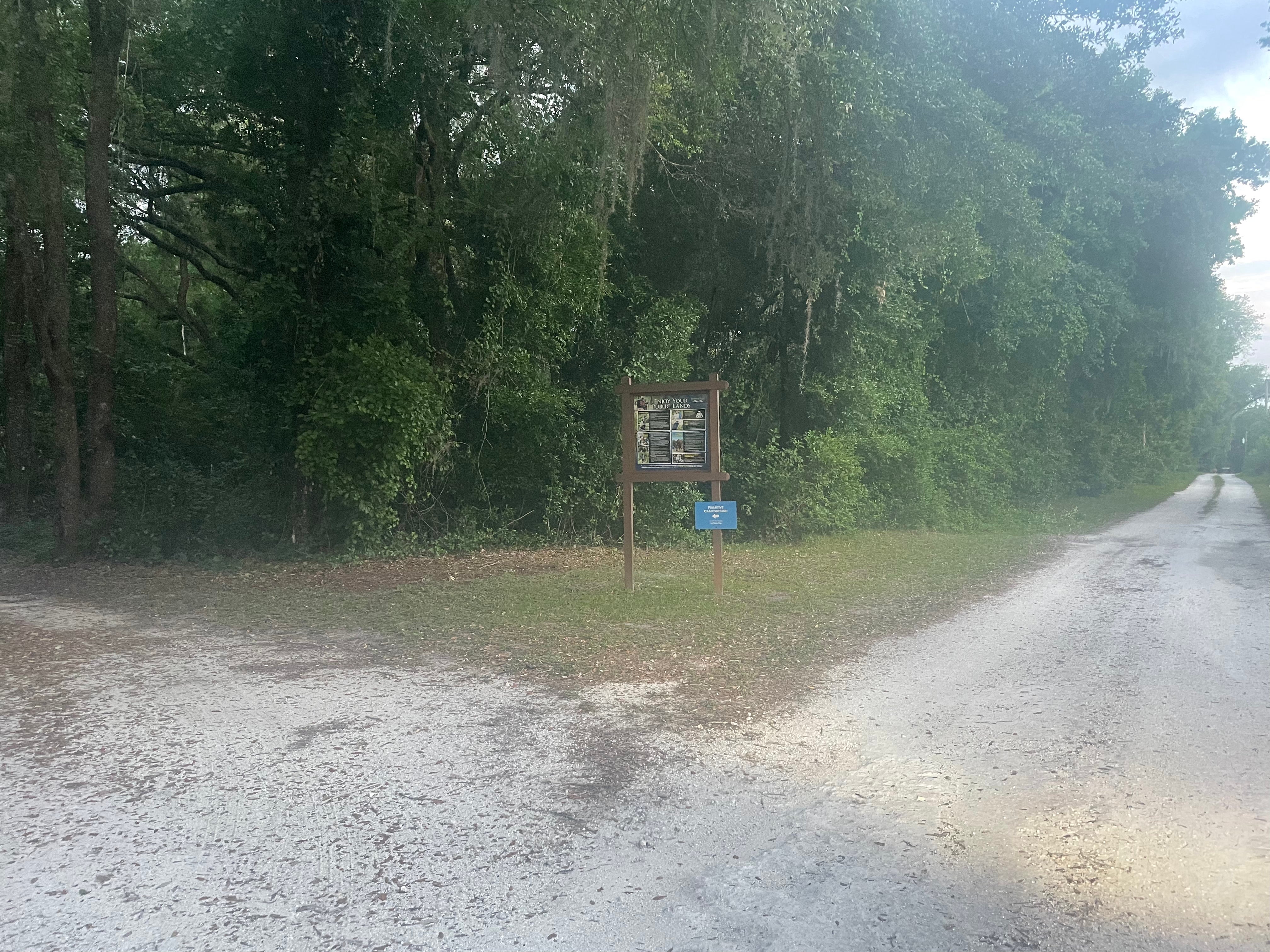 Camper submitted image from Upper Hillsborough Water Management Area - 3