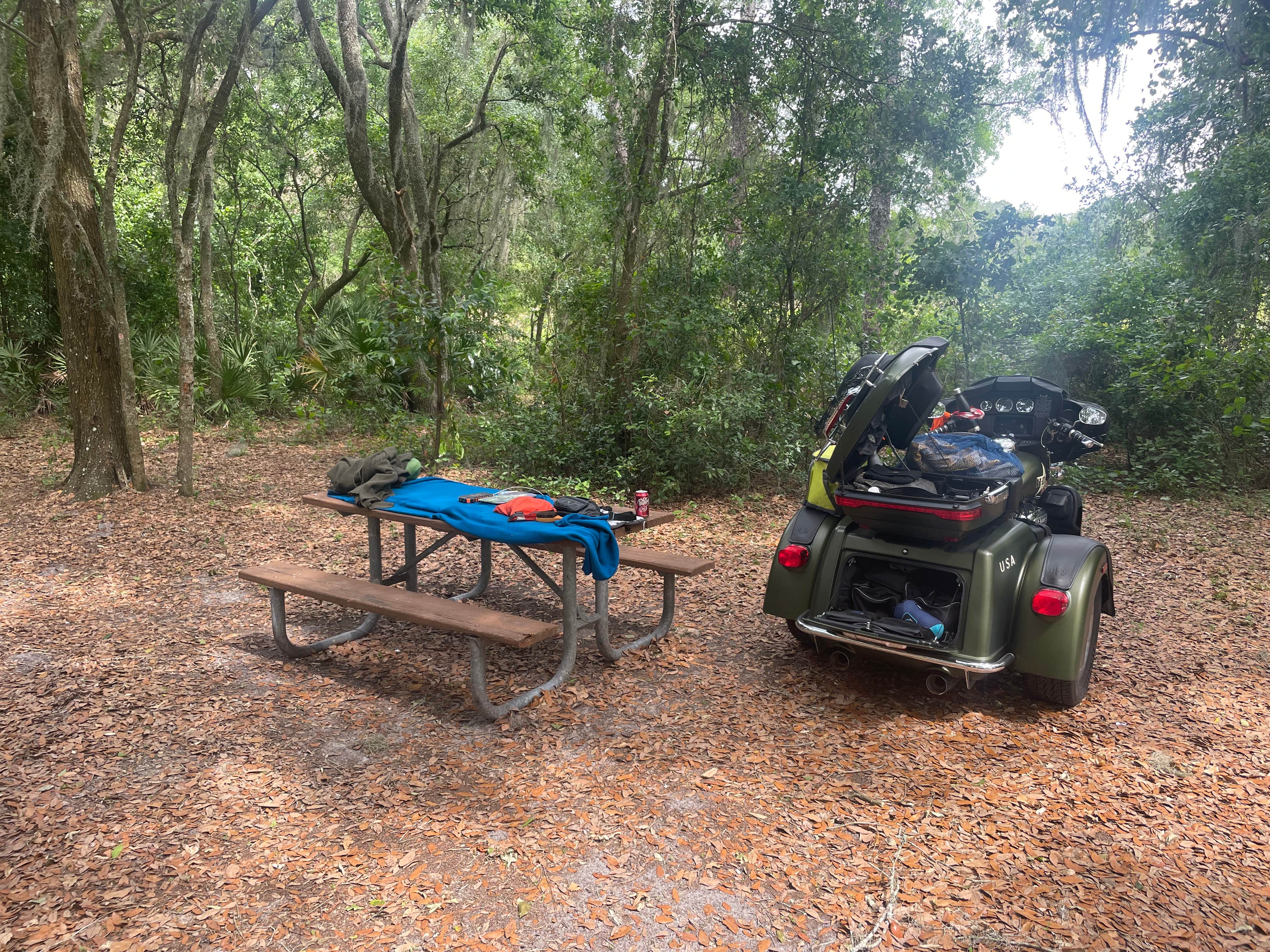 Camper-submitted photo at Upper Hillsborough Water Management Area near Tampa, FL