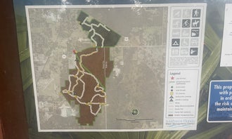Camping near Upper Hillsborough Tract: Upper Hillsborough Water Management Area, Zephyrhills, Florida