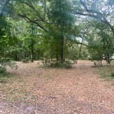 Review photo of Upper Hillsborough Water Management Area by Scott O., April 11, 2024