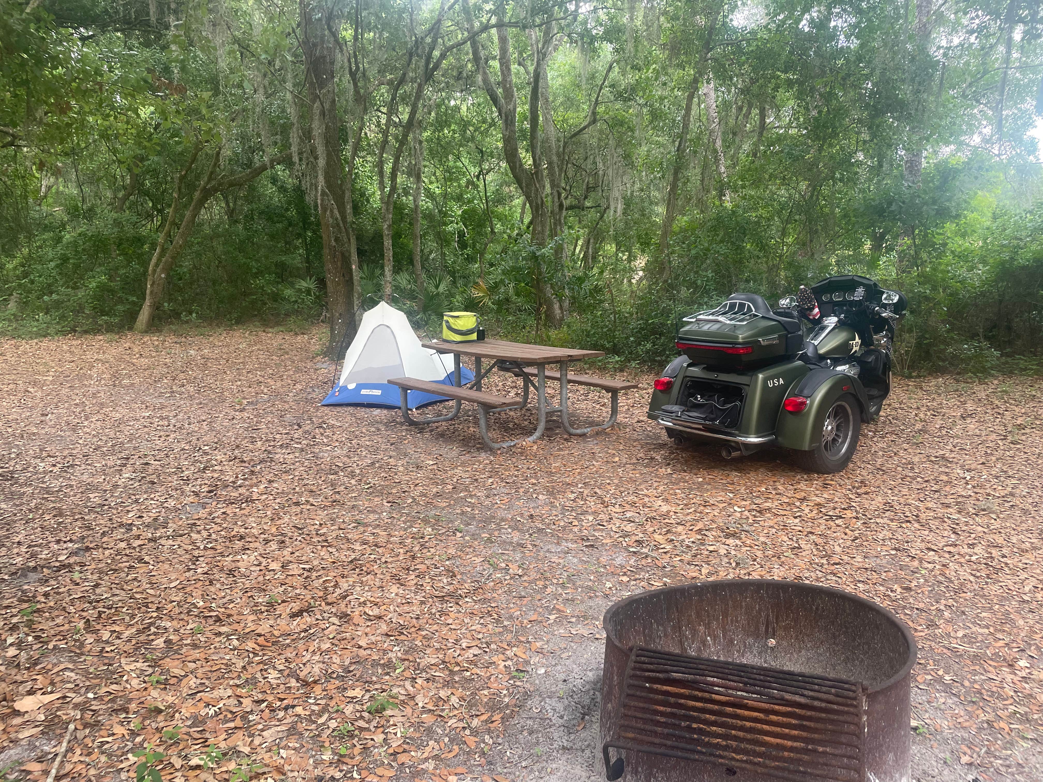 Camper-submitted photo at Upper Hillsborough Water Management Area near Tampa, FL