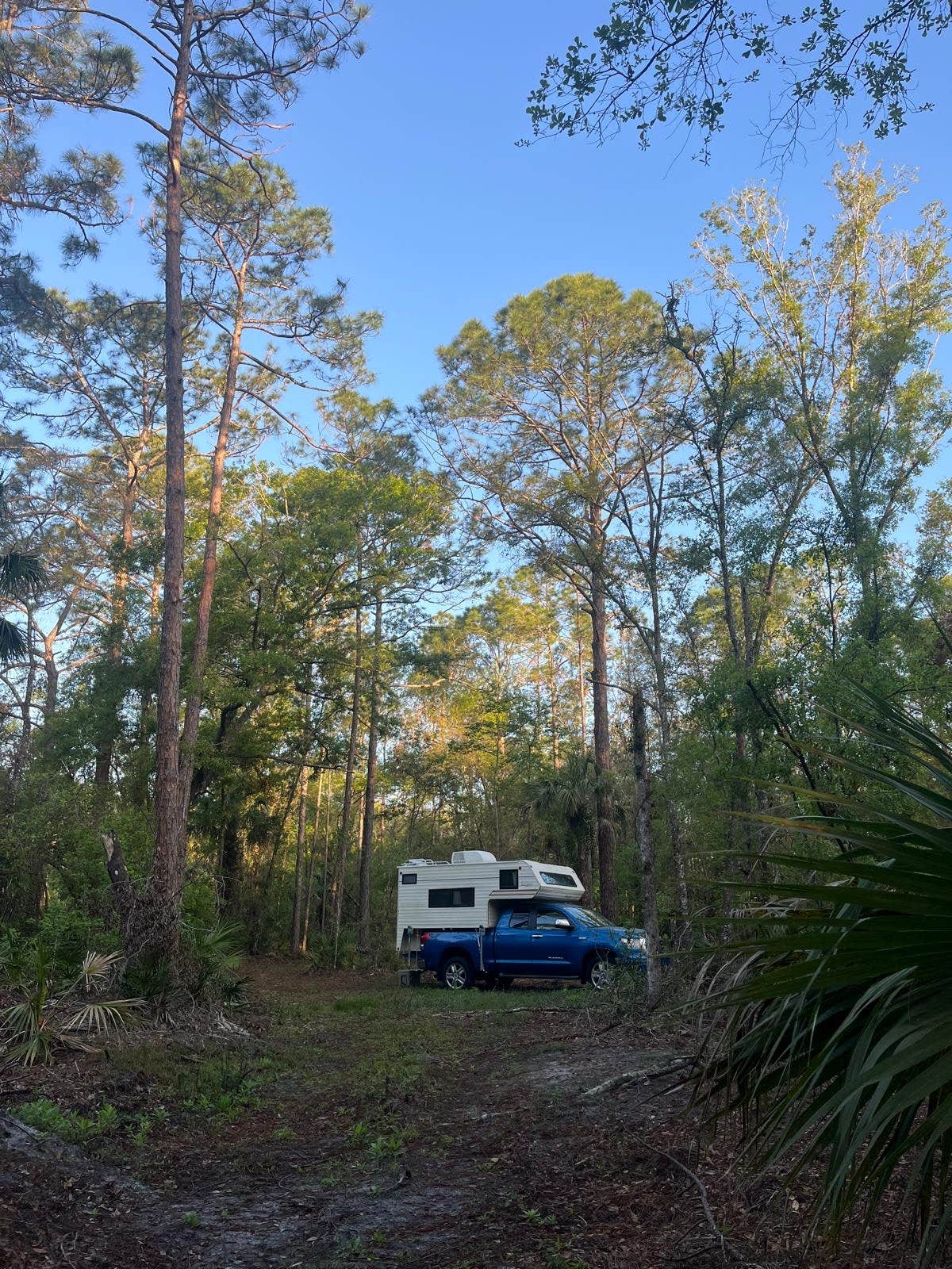 Camper-submitted photo at Upper Hillsborough Water Management Area near Tampa, FL