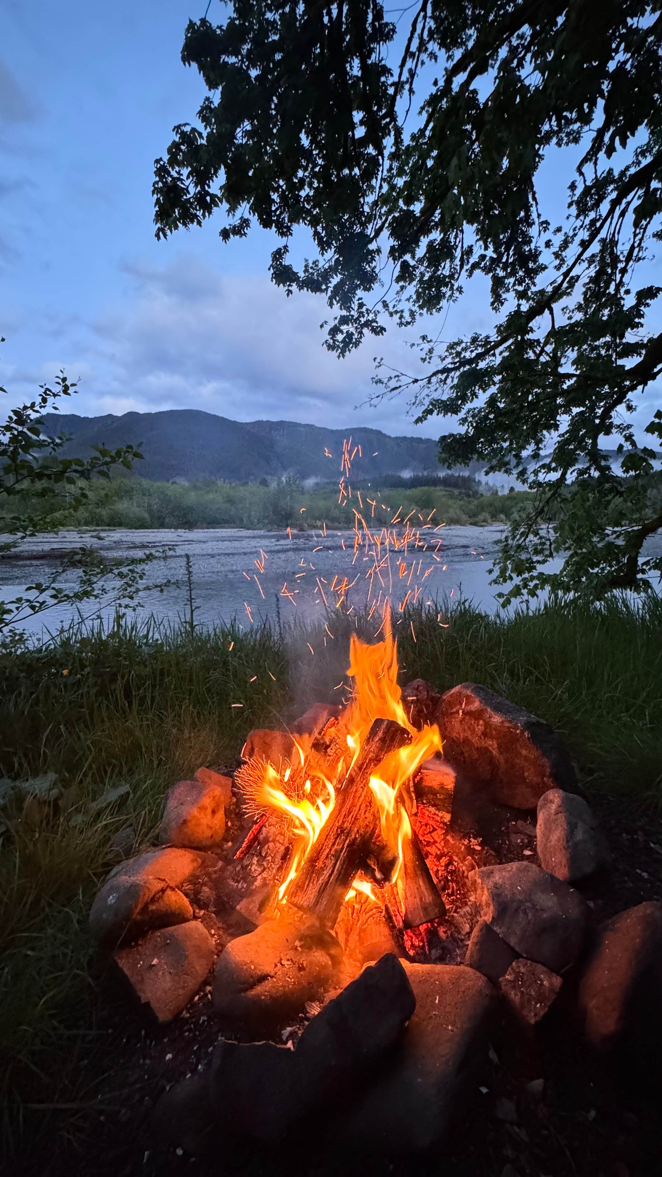 Camper-submitted photo at Upper Hoh Rd Dispersed Camping near Taholah, WA