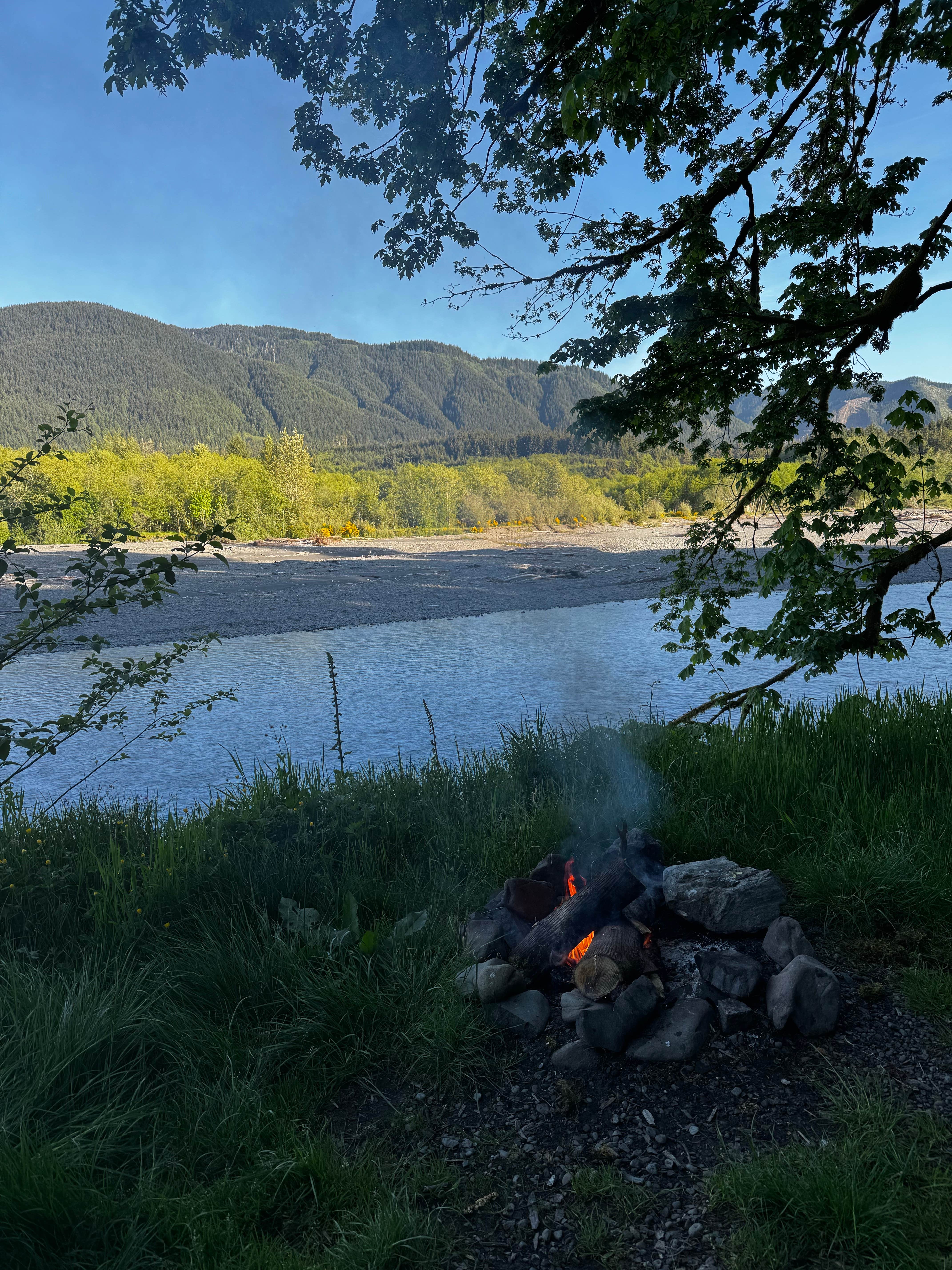 Camping near Upper Clearwater: Upper Hoh Rd Dispersed Camping, Olympic National Park, Washington