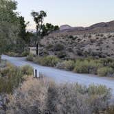 Review photo of Upper Campground - Pahranagat National Wildlife Refuge by DL M., September 19, 2024